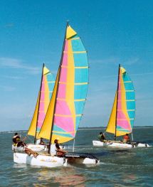 F1 sur la plage [12Ko]