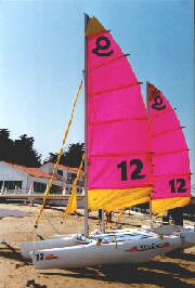 NewCat 12 au sec [11Ko]