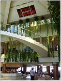 Hurghada - hotel