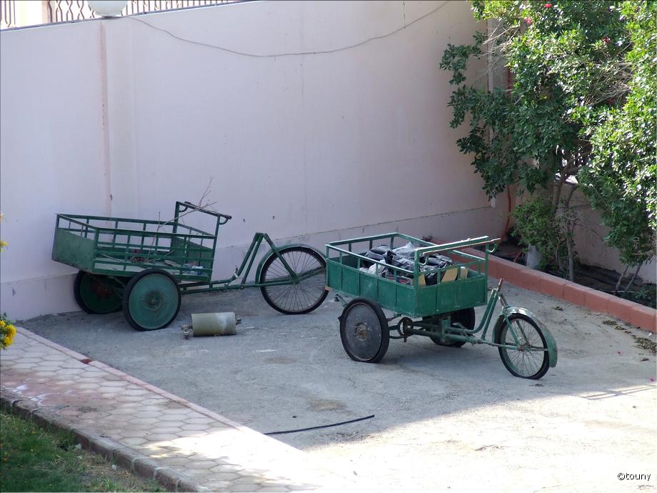 Hurghada - tricycles