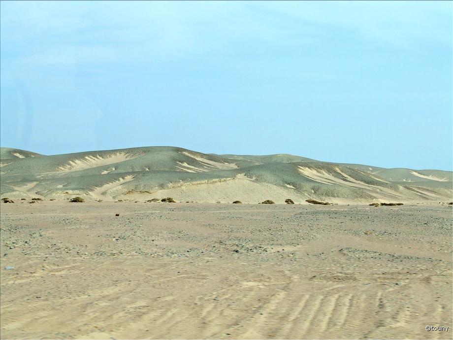 désert arabique
