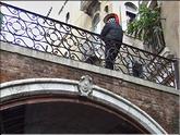 gondolier au sec