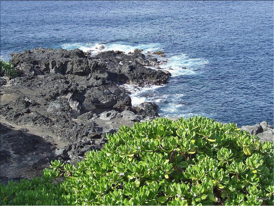 Piton st Leu - le souffleur