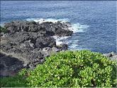 Piton st Leu - le souffleur