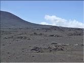 plaine des sables