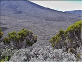 plaine des sables
