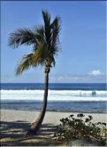 grand-anse