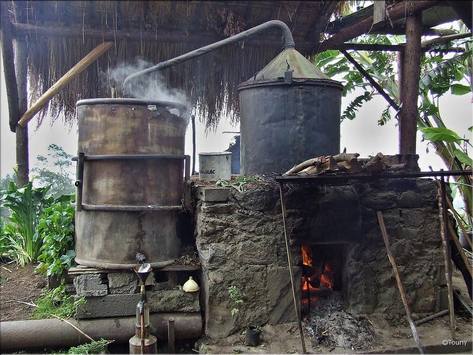 distillateur de rosat