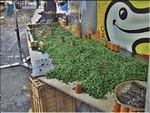 marché de St Paul - piments verts