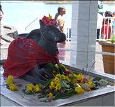 Ganga Talao - Nandi