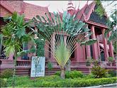 Phnom Penh - musée national