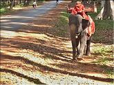 Angkor Thom - à dos d'éléphant