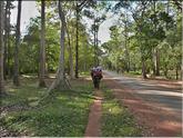 Angkor Thom - à dos d'éléphant