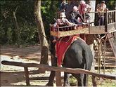 Angkor Thom - à dos d'éléphant