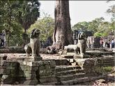 Angkor Thom - Bayon