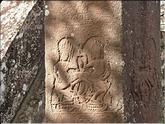 Angkor Thom - Bayon