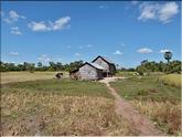 bord de route vers Siem Reap