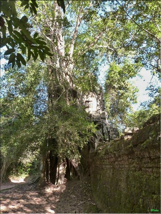 Ta Prohm