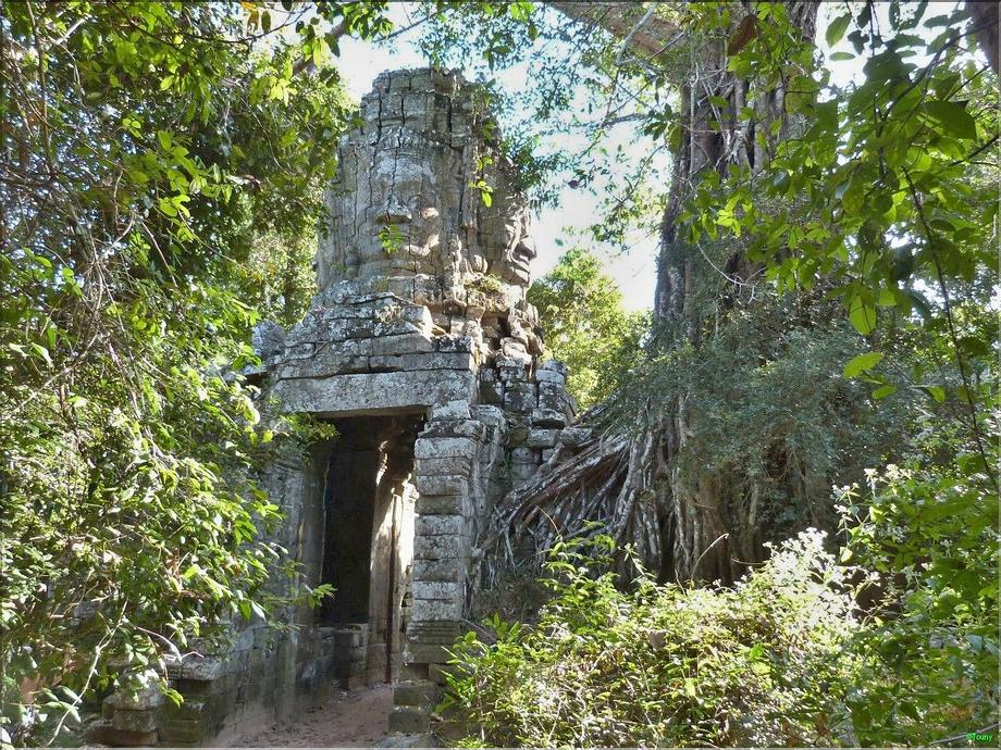 Ta Prohm