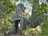 Ta Prohm