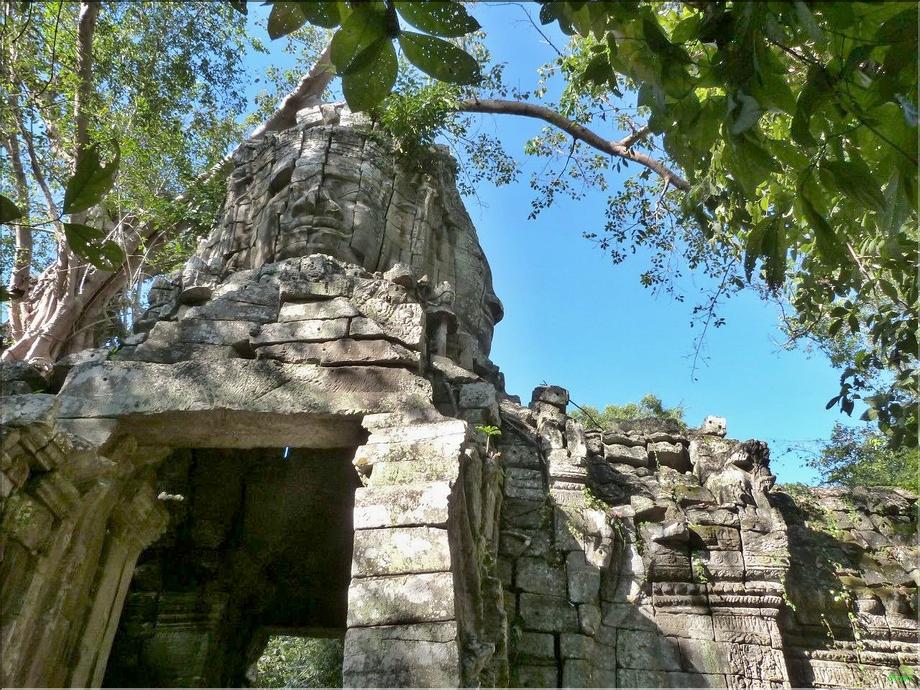 Ta Prohm