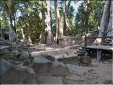 Ta Prohm
