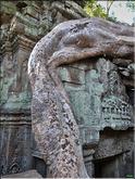 Ta Prohm