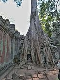 Ta Prohm