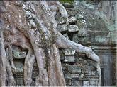 Ta Prohm