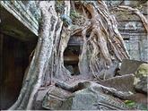 Ta Prohm