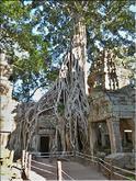 Ta Prohm
