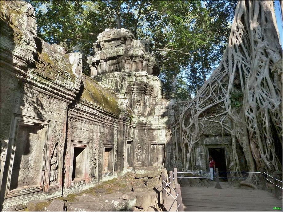Ta Prohm