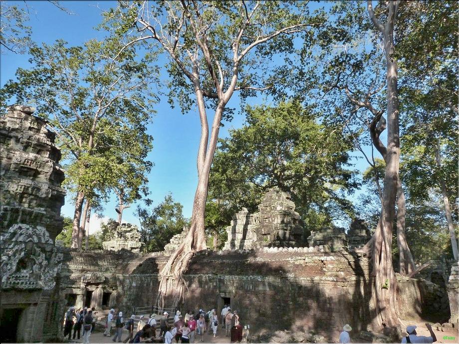 Ta Prohm