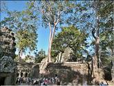 Ta Prohm