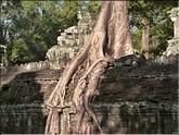 Ta Prohm