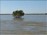 lac Tonlé Sap