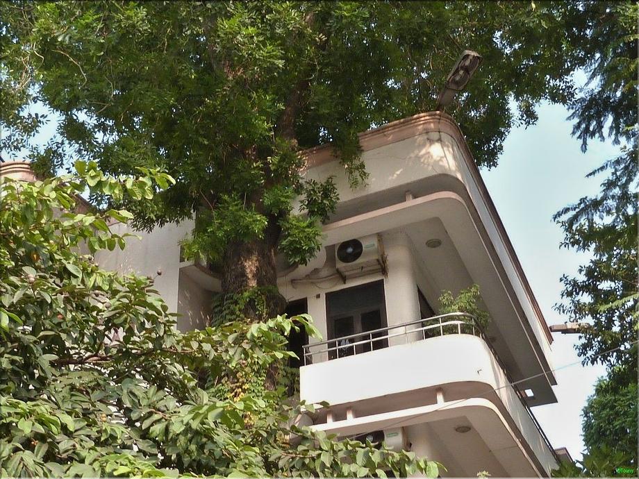Hanoi
