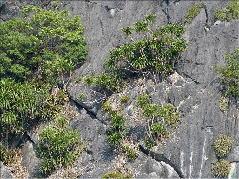 baie de Ha long