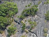 baie de Ha long