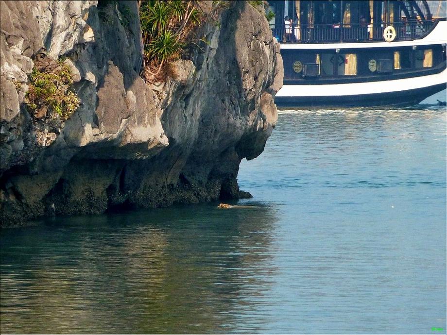 baie de Ha long