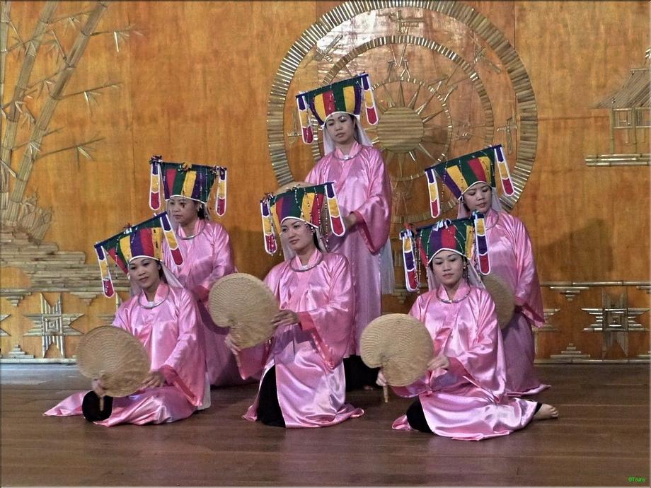 Hoa binh - danseurs muong
