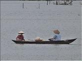 barques
