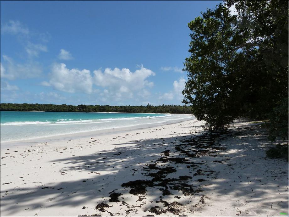 Île des pins - Kuto