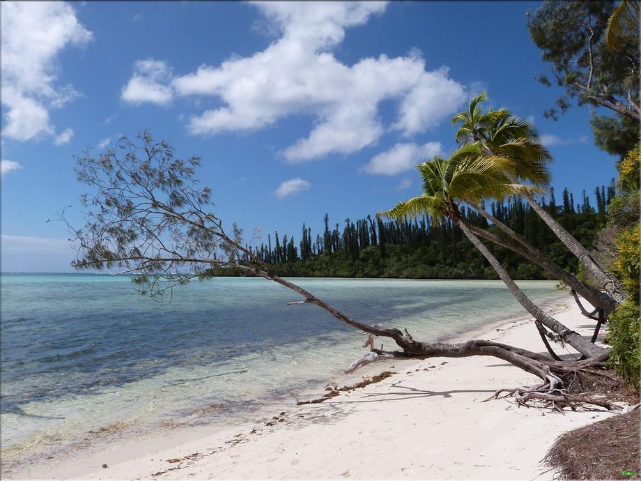 Île des pins - Oro