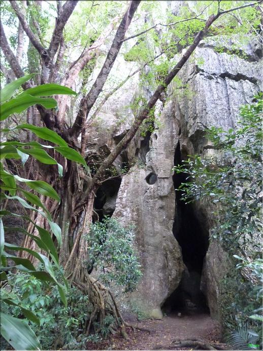 Koumac - grottes