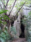 Koumac - grottes