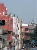 Delhi - rue