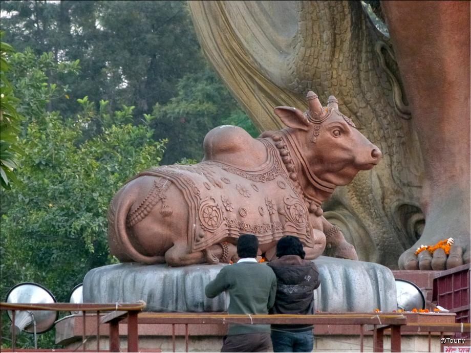Delhi - Mangal manjusha - Nandi