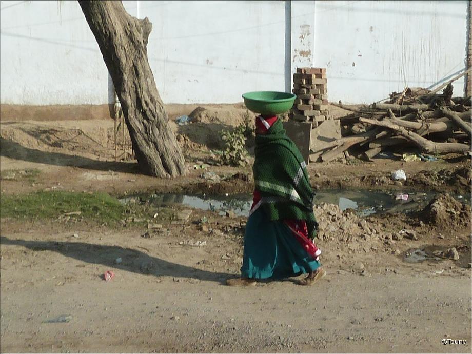 Rajasthan