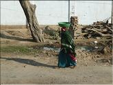 Rajasthan